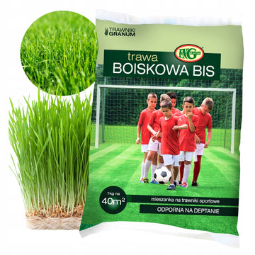 Nasiona trawy na sportowy trawnik, odporne na deptanie