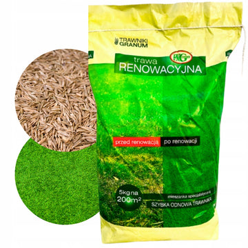 Mieszanka nasion na trawę – opakowanie 5kg, Granum
