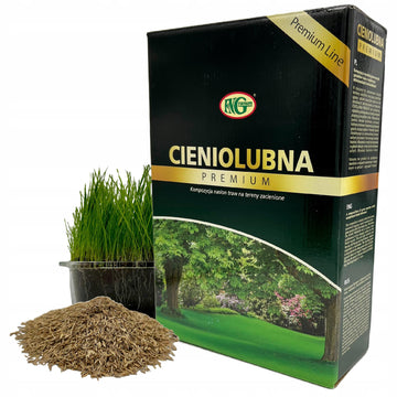 Trawa cieniolubna na zacienione tereny - mieszanka nasion