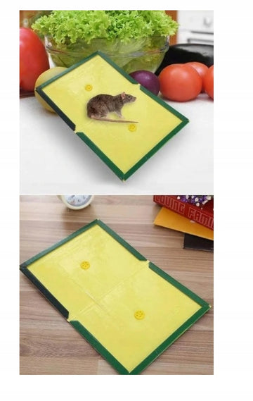 1x LEP NA MYSZY DUŻY PUŁAPKA Z KLEJEM