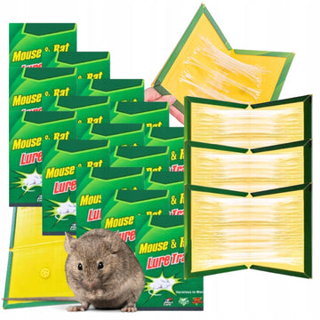 Silne pułapki klejowe na myszy i szczury 20 sztuk