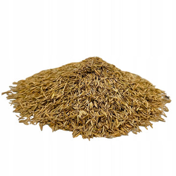 TRAWA Gazonowa, nasiona 10 kg