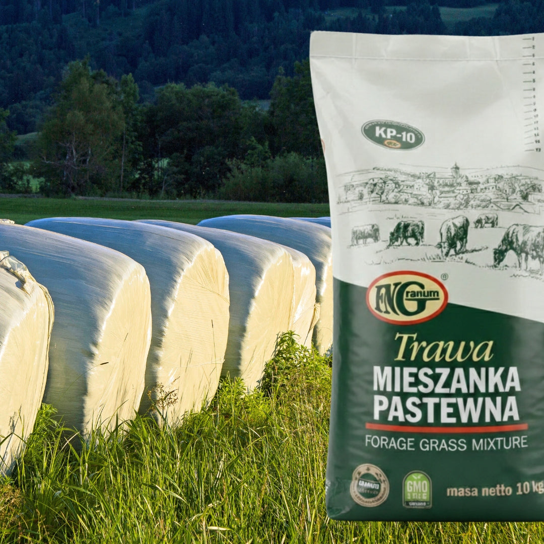 Mieszanka traw pastewnych bez motylkowych na paszę 10kg