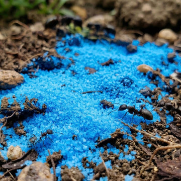 PREPARAT ŚRODEK do zwalczania mrówek TRUTKA 2kg