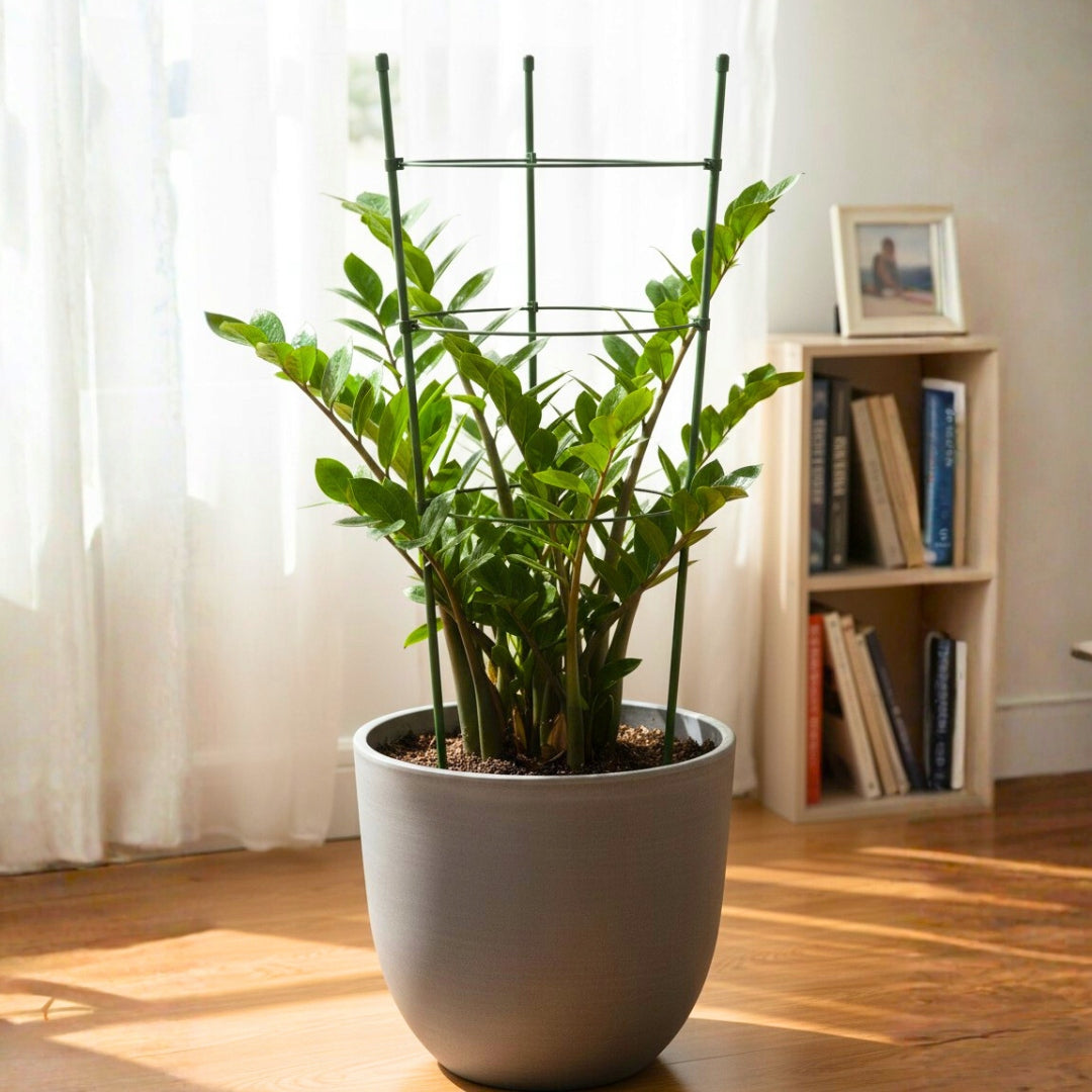 Podpora ogrodowa pierścieniowa 75 cm z trzema poziomami wsparcia do pomidorów, hortensji i kwiatów.