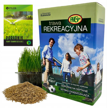 Trawa nasiona Rekreacja 1kg