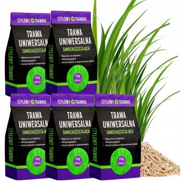 TRAWA NASIONA UNIWERSALNA Zageszczajaca Nasiona Odporna 25kg 1000m2