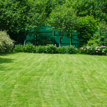 Trawa uniwersalna samozagęszczająca, nasiona Greengrass 10kg