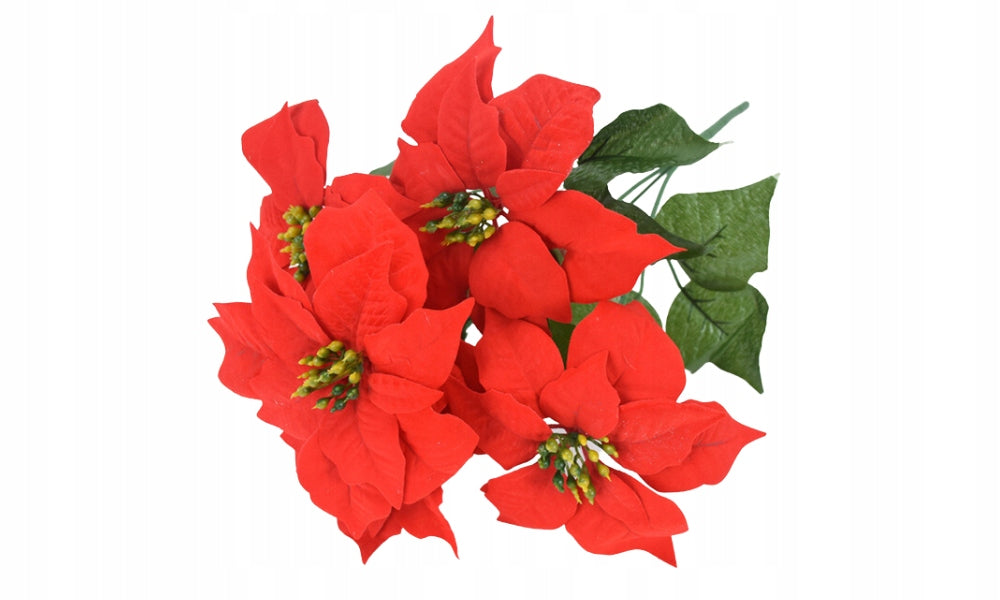 Bukiet Gwiazda Betlejemska 5 sztuk 45 cm, czerwony kwiat ze złotymi pyłkami jako elegancka dekoracja na święta.