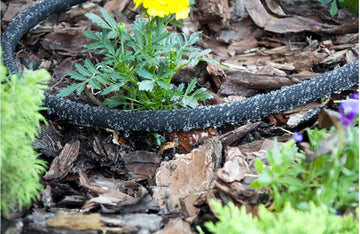 Wąż AQUA DROP 1/2 30 m