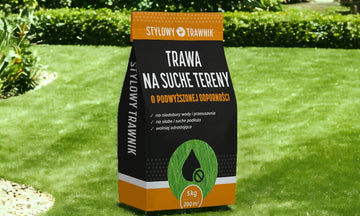 TRAWA NASIONA Na tereny suche Odporna Samozageszczająca Trawnik 20kg