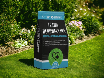 Mieszanka traw do renowacji starej murawy