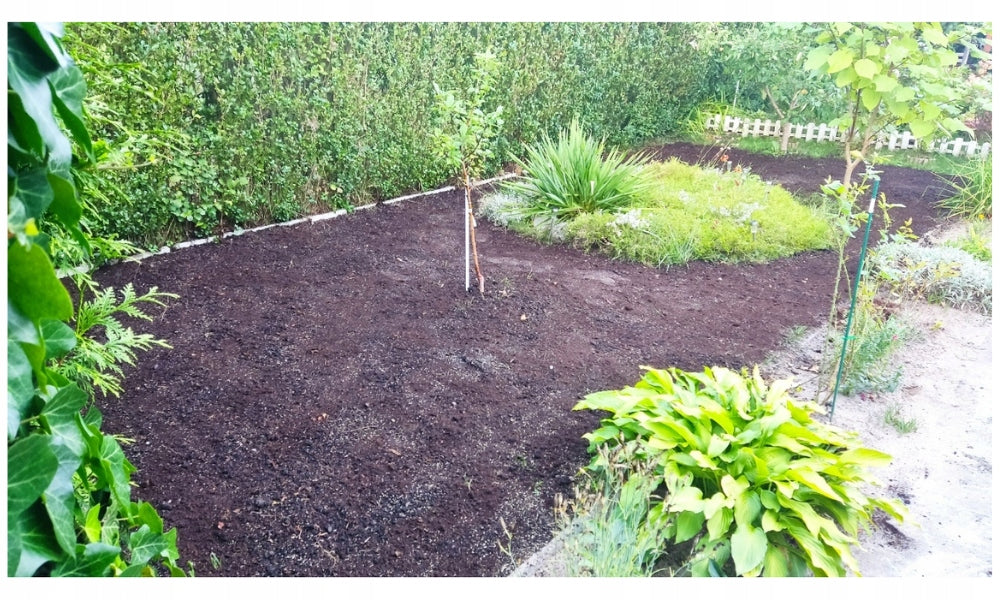 Trawa do odświeżenia i zagęszczenia trawnika