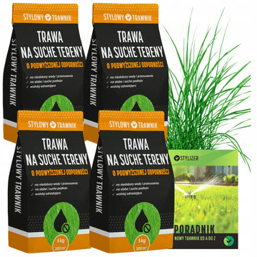 Trawa na suche tereny do dużych powierzchni