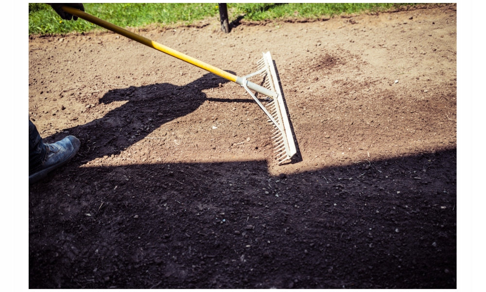 Trawa trawnikowa odporna na tereny suche 5 kg
