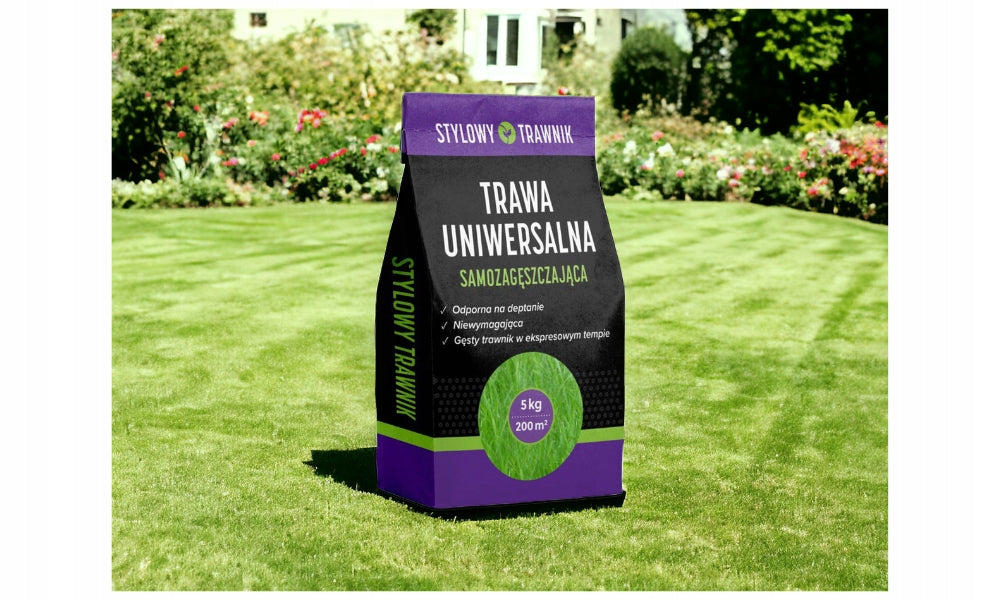 Trawa trawnikowa uniwersalna niewymagajaca pielegnacji