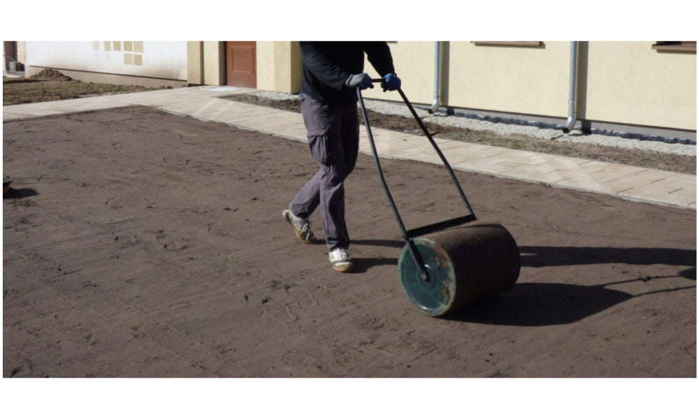 Trawa ogrodowa na suche i słabe podłoża