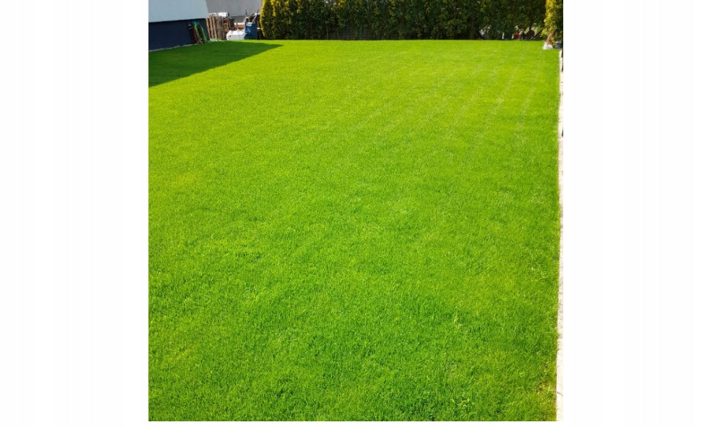 Trawnik regenerujący zniszczone powierzchnie