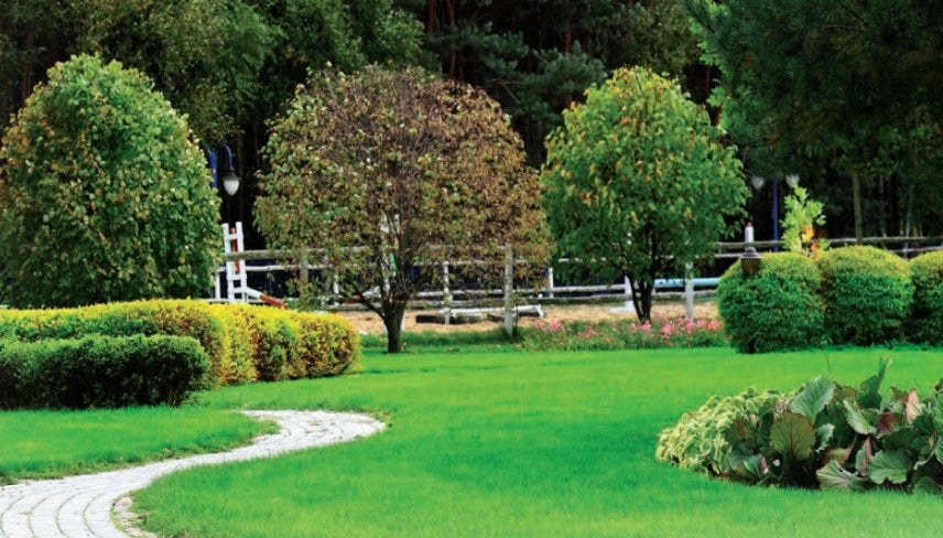 Trawnik Sport Premium Granum