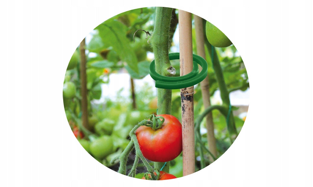 Uchwyty do roślin wysokopiennych 3 cm do podwiązywania i stabilizacji